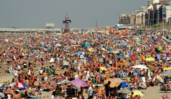 Speel in op het warme weer: Zwemshorts, duikartikelen en strandballen!